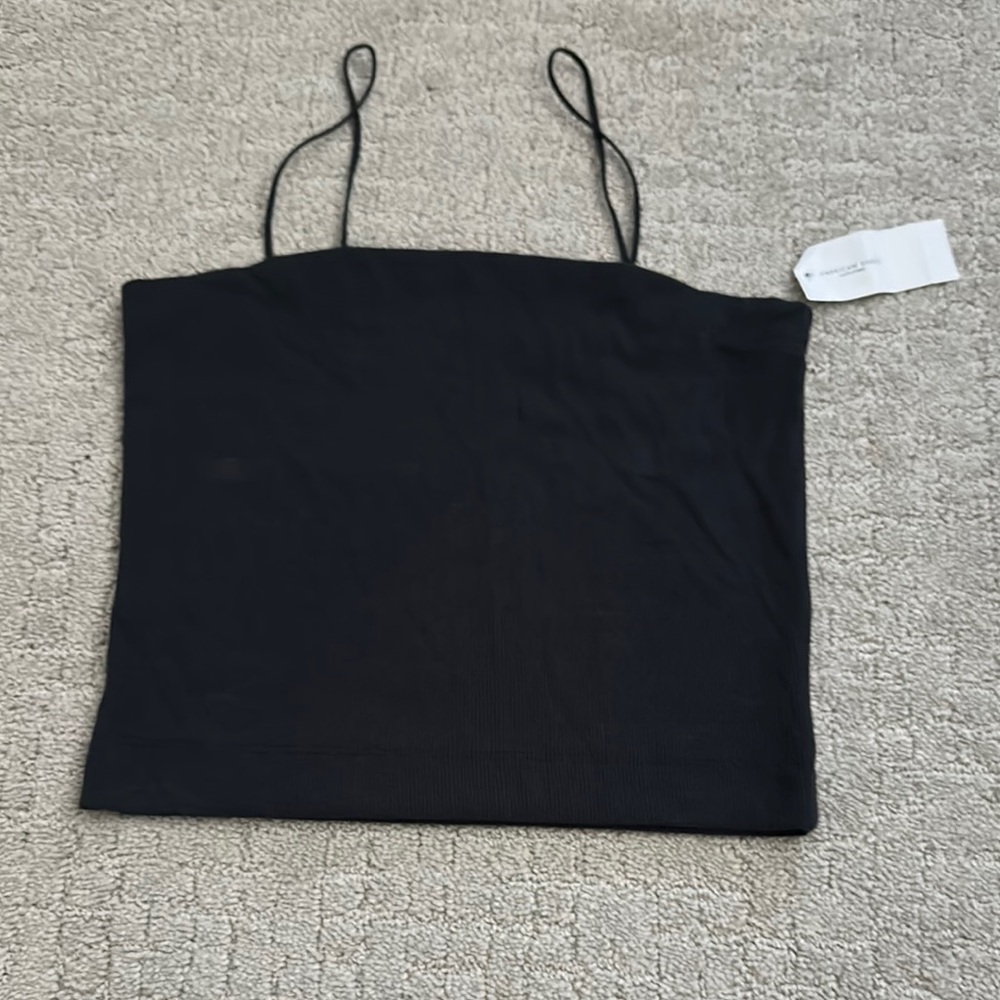 American Eagle Outfitters Black Fitted Crop Camisole